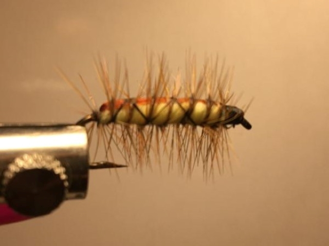 Anderson Stone Fly